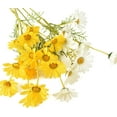 thumbnail image 3 of Artificial Daisy Flowers 6 Bundles 21” Faux Silk Daisy Flowers with Stems for Home Garden Vase Decor, 3 of 8
