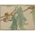 thumbnail image 2 of Overbeck, Hannah Borger 14x12 Gold Ornate Wood Framed with Double Matting Museum Art Print Titled - Oak/Acorns, 2 of 4