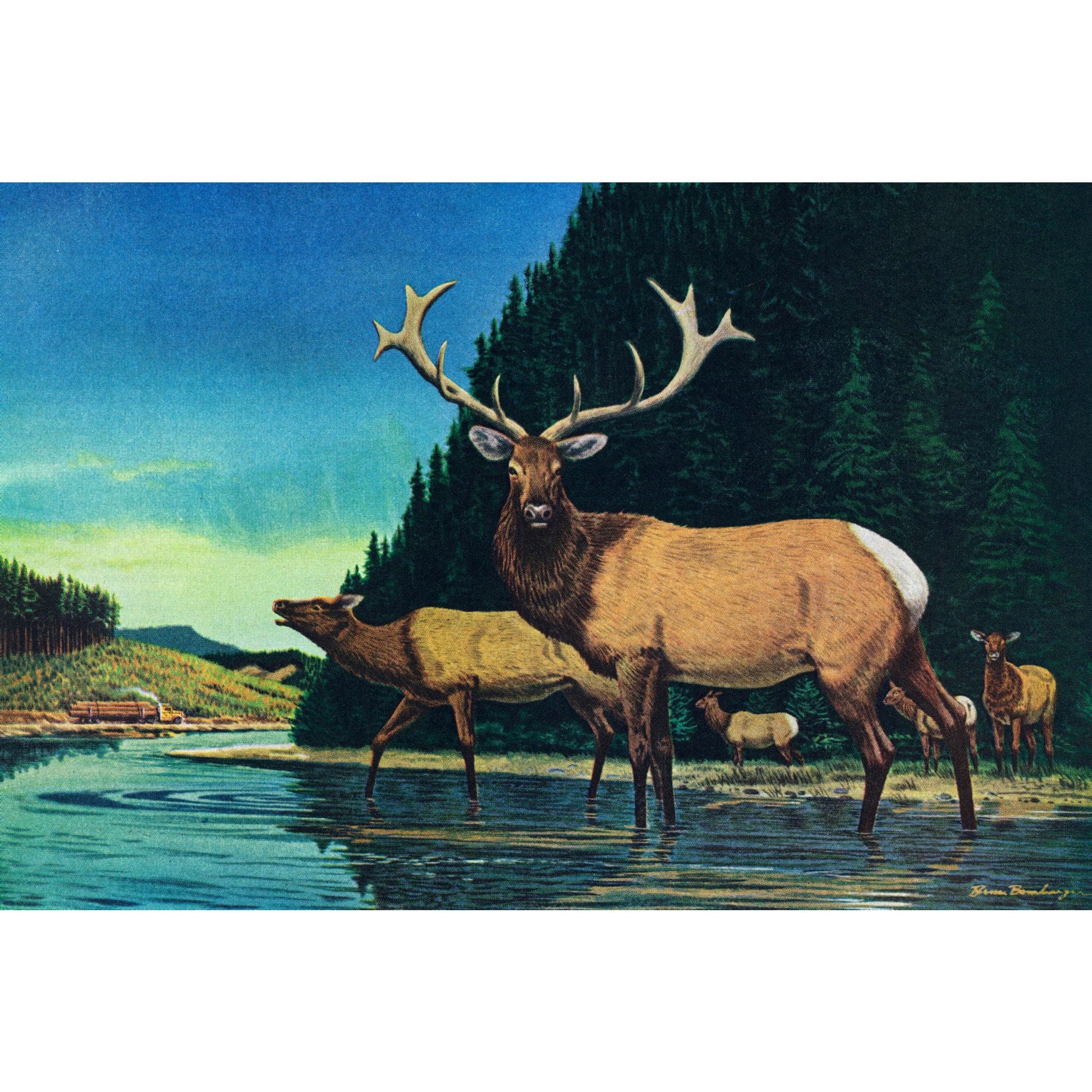 Marmont Hill "Olympic Elk" Painting Print on Wrapped Canvas