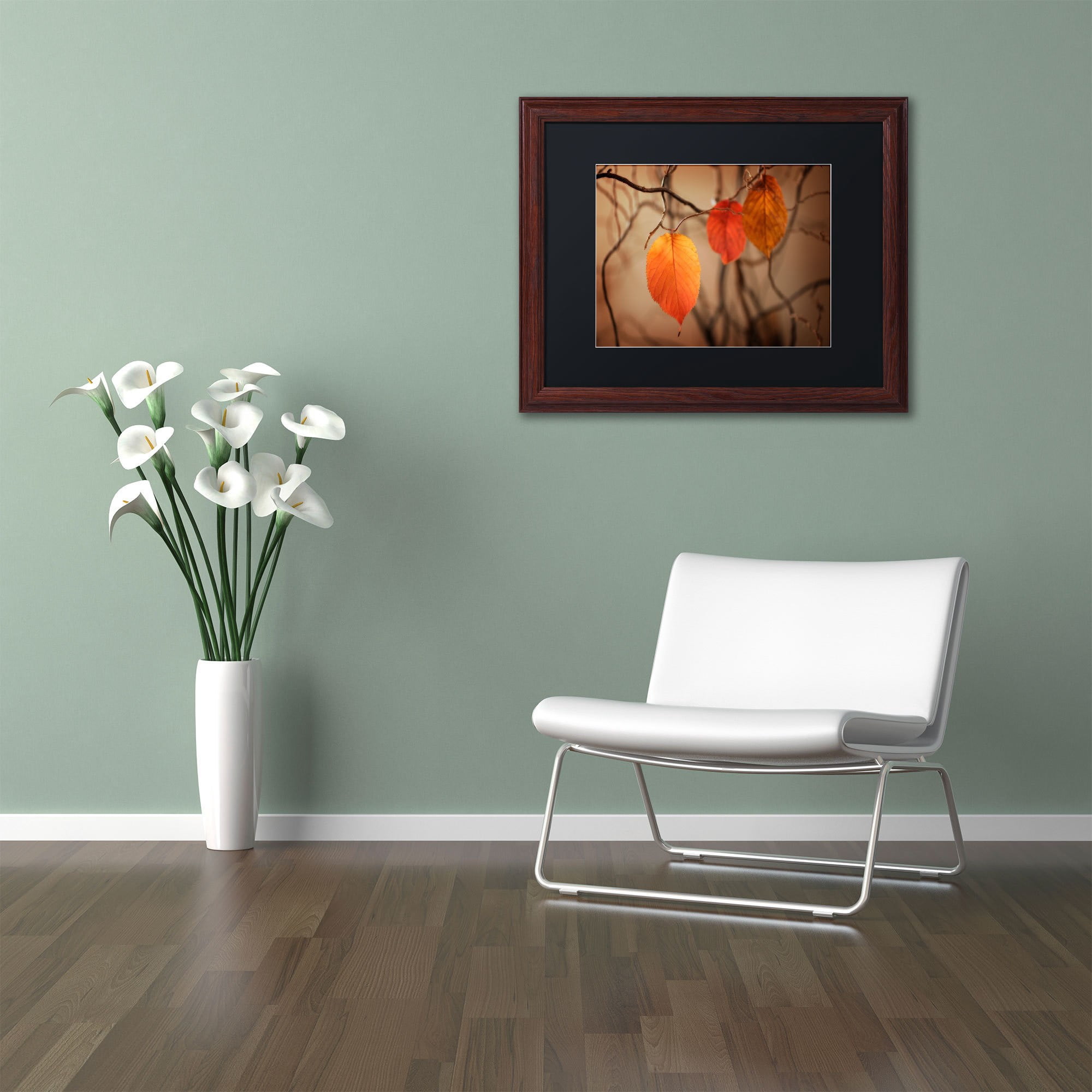 Trademark Fine Art "Leaves after Leaves" Canvas Art by Philippe Sainte-Laudy, Black Matte, Wood Frame