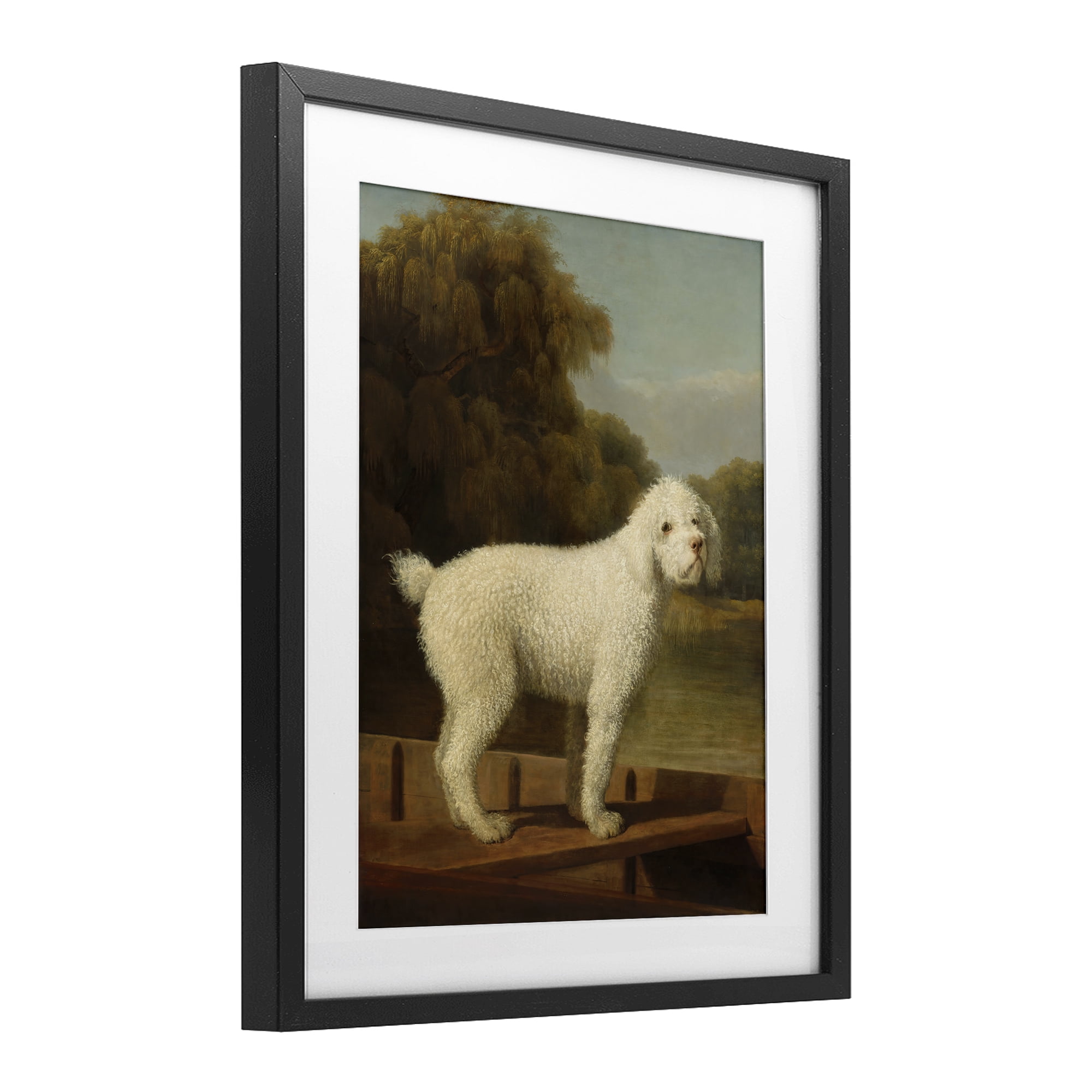 Stupell Industries White Poodle in a Punt Black Framed Print Under Glass, design by Tina LeCour