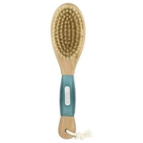 Earth Therapeutics Massage Brush 1 Brush
