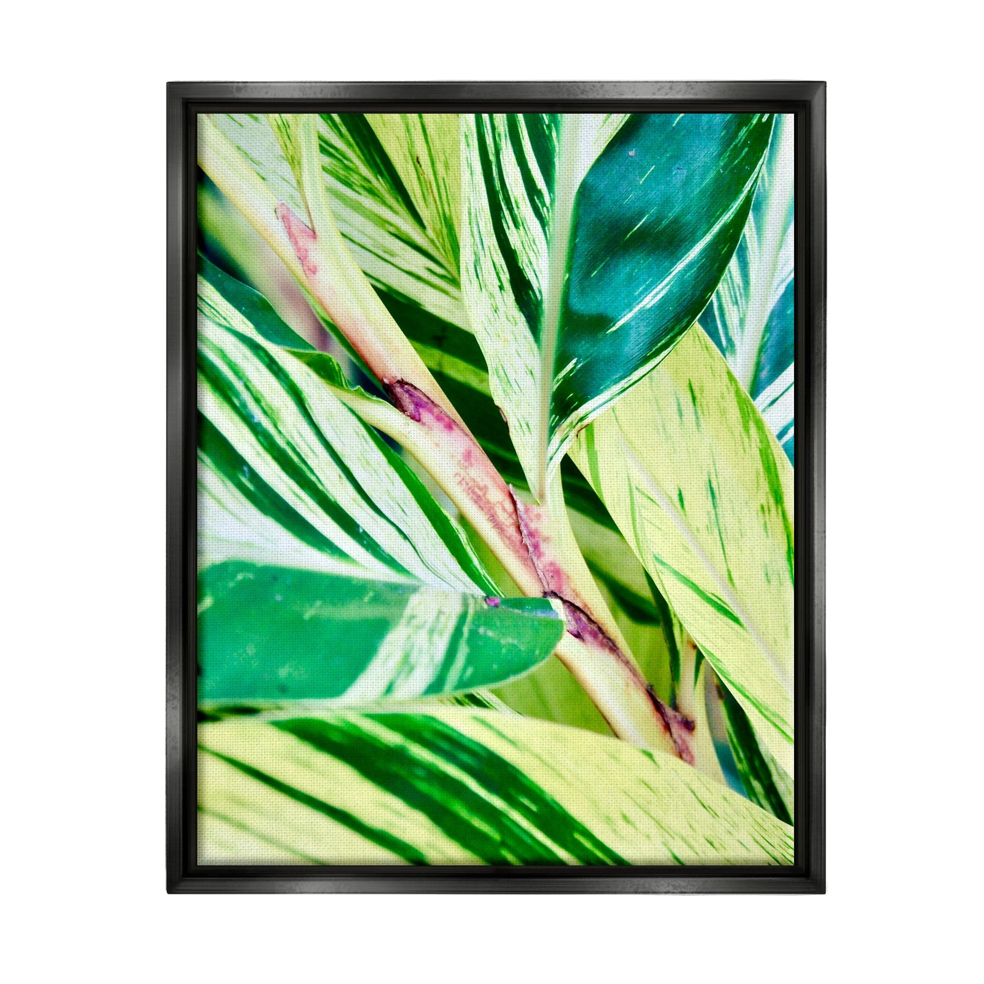 Stupell Industries Tropical House Plant Leaves Close Up Photography Photograph Metallic Gold Floating Framed Canvas Print Wall Art, Design by Gail Peck