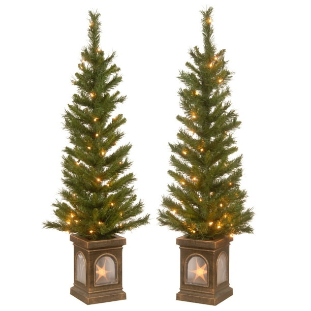 4’ PreLit Potted Lehigh Valley Entrance Tree with Clear Lights Set