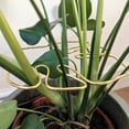 thumbnail image 3 of Joernso Monstera Plant Support Reusable Coated Iron Stem Holder Flower or Heart Shaped Stabilizer Climbing Plants Stem Support for Indoor Outdoor Plants, 3 of 8