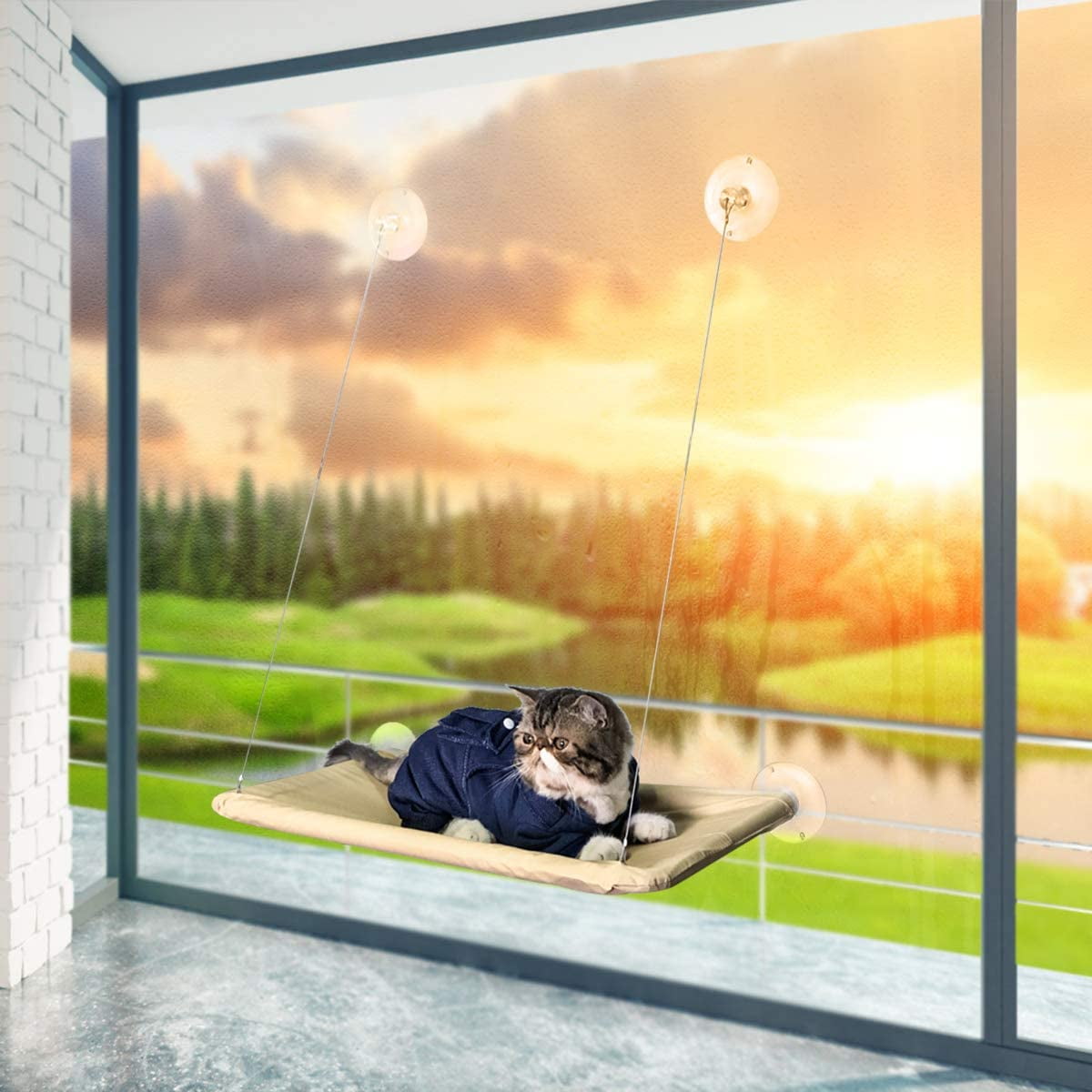 Tenrry Cats Hammock Suction Window Wall Mounted Hanging Bed Kitten Resting Sunny Seat