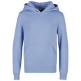 thumbnail image 1 of Build Your Brand Boys/Girls Hoodie, 1 of 4