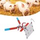 thumbnail image 5 of Pig Castration Rack Tools, Easily Operate Simple Convenient Operation Stainless Steel Double Hook Piglet Castration Frame  For Pig Farm ANGGREK Pig Castration Rack Tools, 5 of 8