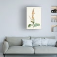 thumbnail image 3 of Unknown 'Alluring Botanical II' Canvas Art, 3 of 3