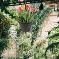 thumbnail image 4 of FOLOYORI 2Ud Jardineras Colgantes Negras Para De Y Pared Con Materiales Duraderos, 4 of 8