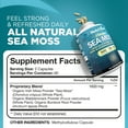 thumbnail image 5 of NutriVein Organic Sea Moss 1600 mg Gut and Thyroid Support 120 Capsules, 5 of 7