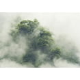 thumbnail image 2 of Landscape Wallpaper Wall Mural - Foggy Nature, 2 of 5