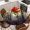 Yellow, variant on Red Forest Round Tablecloth, Fitted Table Cover with Elastic for 55"-60" Round Tables, Mysterious Vintage Foggy Woods Tree Table Cloth Outdoor Indoor Dinning Party Waterproof Tablecloths