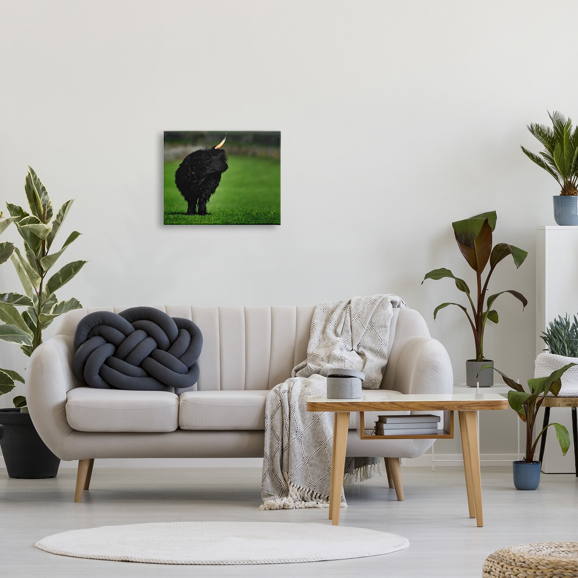 Stupell Industries Fuzzy Yak Looking Away Lush Grass Field Photograph Gallery Wrapped Canvas Print Wall Art, Design by James Dobson