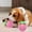Pink, variant on Ovzne Trendy Strawberry Pet Toy - 2-Piece Set For Dogs Cats, Chew-Resistant Interactive Toy,5.12X3.54In