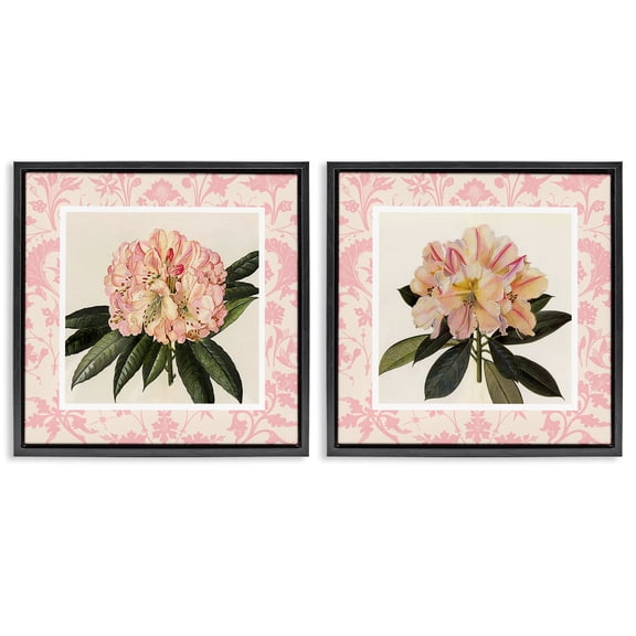 Stupell Industries Pink Vintage Pattern Botanicals 2 Piece Black Framed Floater Canvas Set, design by Livi Finn