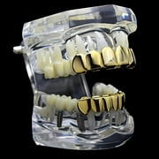 14k Gold Plated Grillz Set Six Top 6 Upper Teeth And Six Bottom 6 Lower Plain Teeth Hip Hop Grills