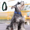 thumbnail image 3 of Correa de repuesto resistente para receptor de cerca para perros TUFF Collar, 3 of 5