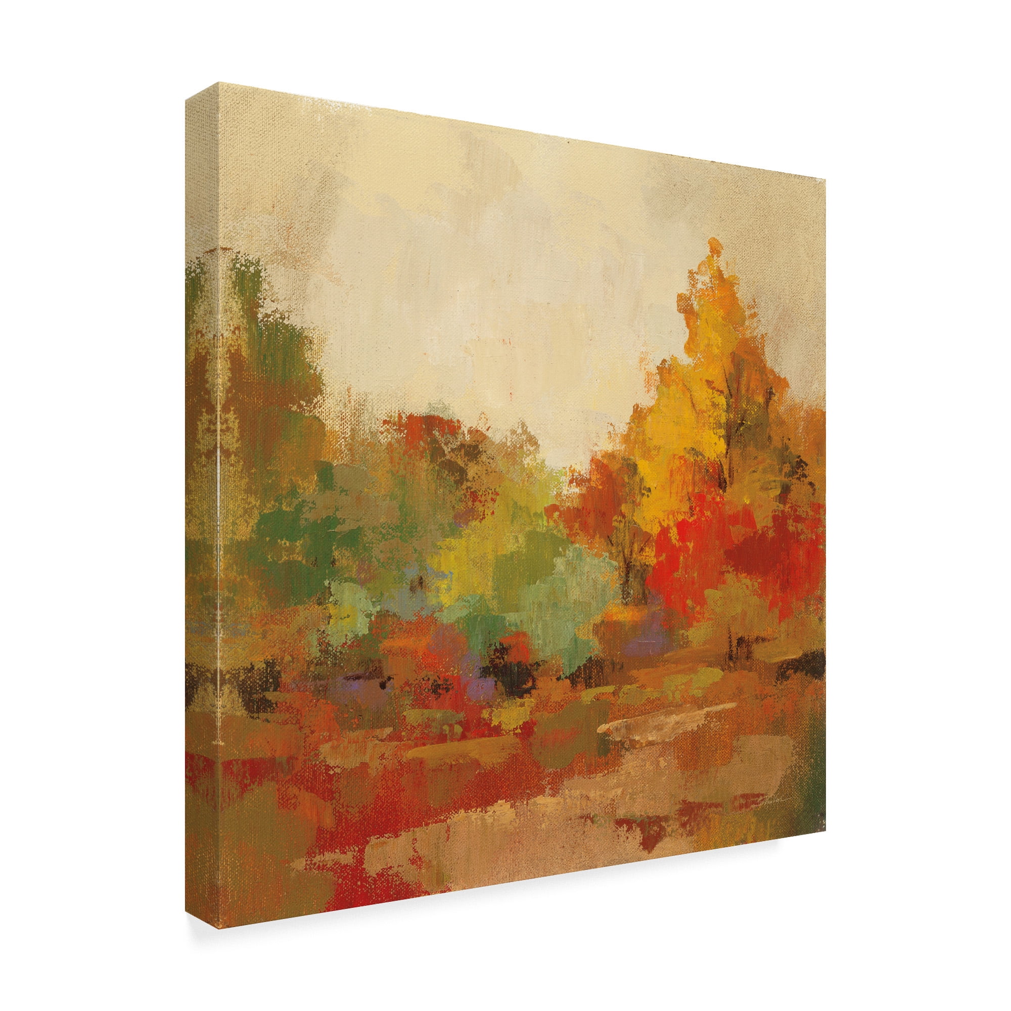 Trademark Fine Art 'Fall Forest II' Canvas Art by Silvia Vassileva