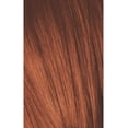 thumbnail image 2 of Schwarzkopf Igora Color10 5-7 LIGHT BROWN COPPER, 60g, 2 of 2