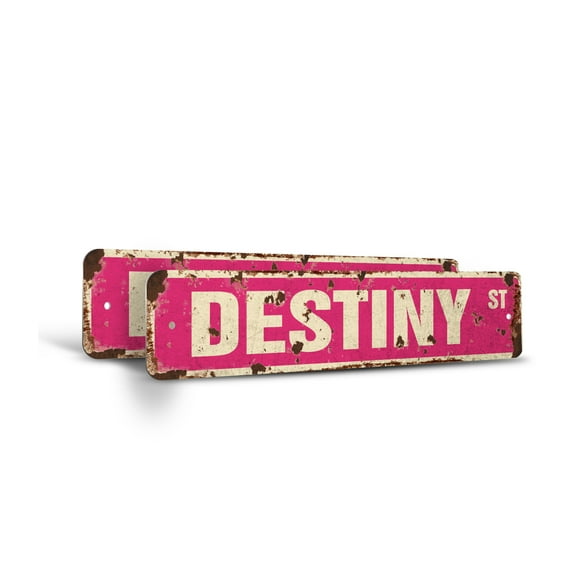 DESTINY Vintage Style Rustic Street Sign – (2 Pack) Childrens Name Room Sign Retro Decorative Wall Sign for Home, Bar, Garage, or Outdoor Use | 4" X 18" Aluminum Metal Road Sign