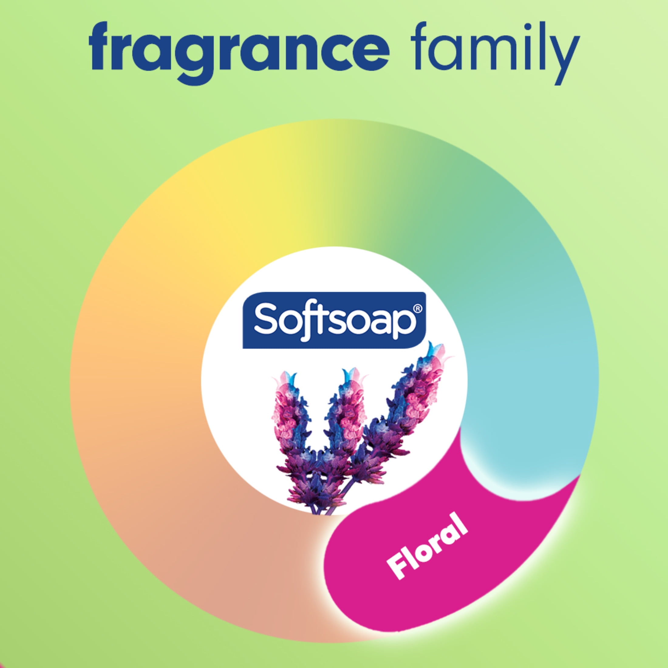 (6 pack) Softsoap Antibacterial Sensitive Liquid Hand Soap, Rosewater and Aloe, 11.25 Fluid Ounce Bottle