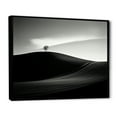 thumbnail image 2 of Designart "Monochrome Meadow In Black And White Photography" Meadow Floater Framed Wall Art Prints, 2 of 5