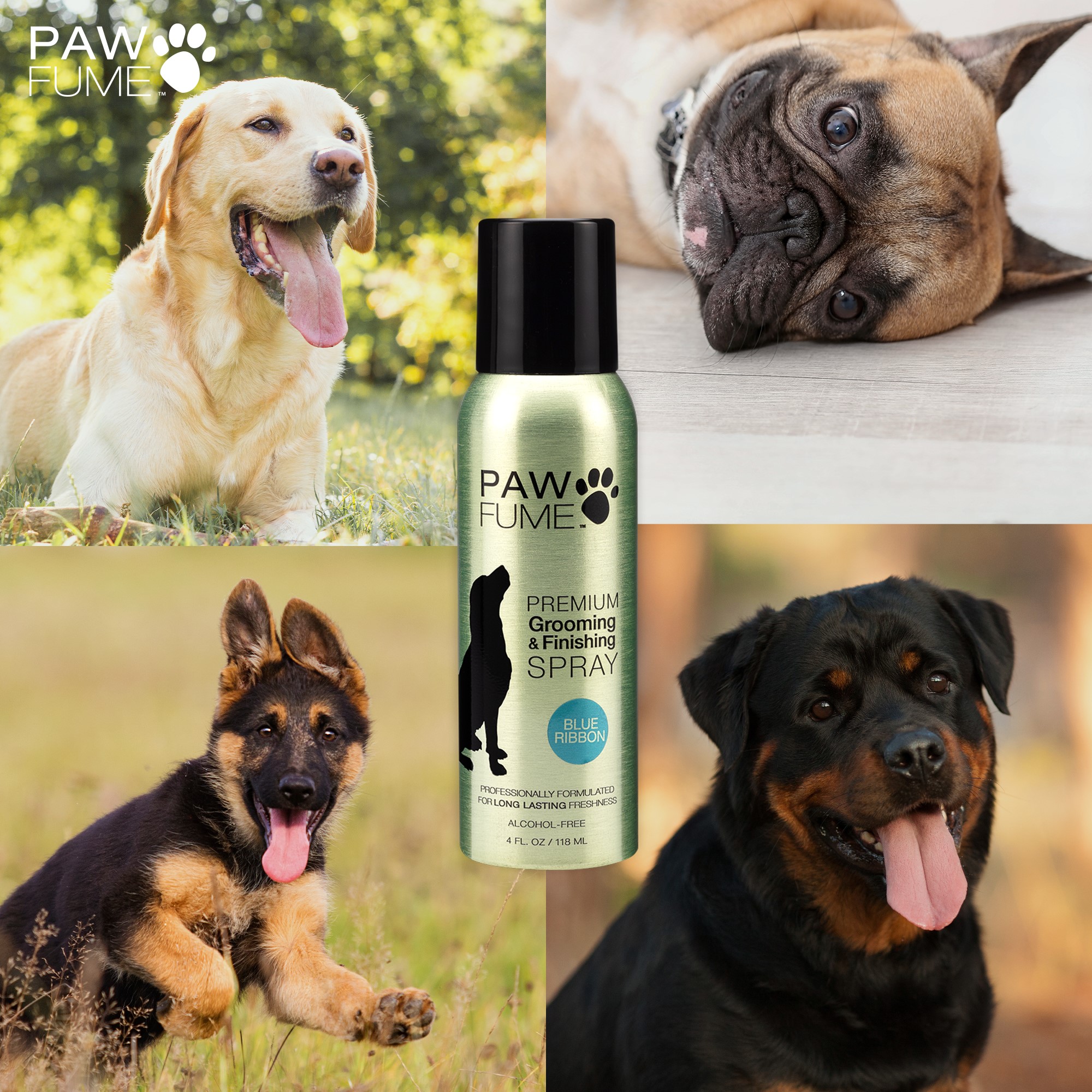 PawFume Blue Ribbon Premium Grooming and Finishing Deodorizer Dog Spray, 4 fl oz Can