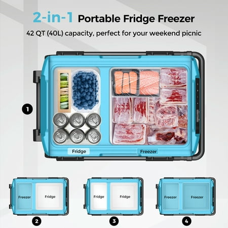 Renogy - 42 Quart (40L) Portable Refrigerator - Black