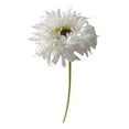 thumbnail image 2 of 1×Simulation Flower Gerbera Clearance! Twig Brushed Gerbera Gerbera Flower Shooting Props Wedding Flower Material Floral Decoration Decoration Flower Living Room, Fake Flowers Promotion Sale!, 2 of 4