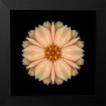 thumbnail image 2 of Bookbinder, David 15x15 Black Modern Framed Museum Art Print Titled - Kaleidoscope Peach Dahlia, 2 of 5