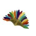 thumbnail image 2 of Banda para el cabello Perfecl de plumas grandes Multicolor 50 cm x 23 cm, 2 of 7