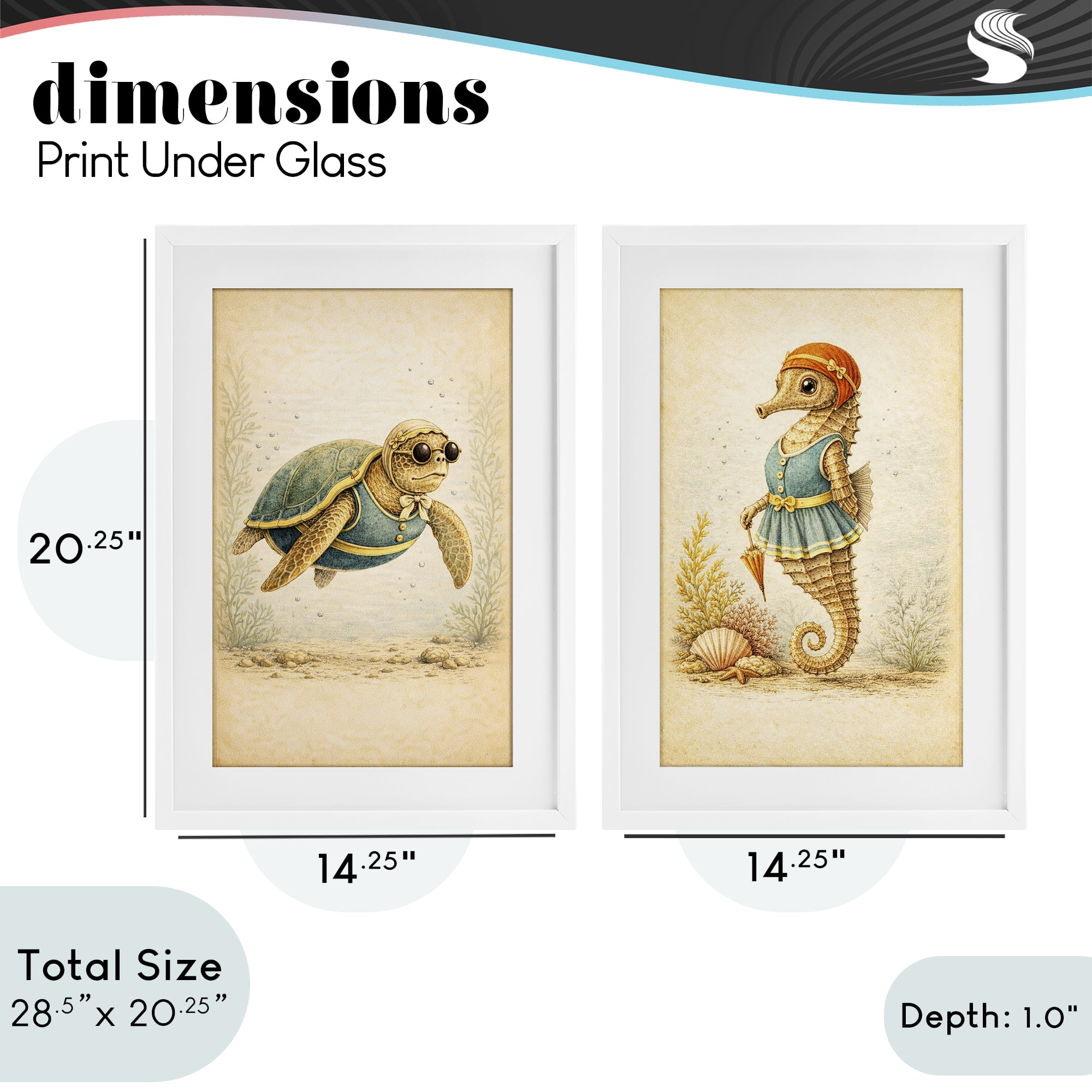 Stupell Industries Vintage Maritime Bathing Animals 2 Piece White Framed Print Under Glass Set, design by Grotto Studios