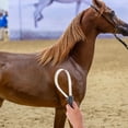 thumbnail image 4 of Phenofice Outil de Toilettage pour Chevaux Brosse en Acier Inoxydable pour Perte et Grattage de Sueur, 4 of 7