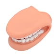 thumbnail image 3 of Marioneta de boca con lengua, 28 dientes, de silicona, para demostración de terapia del habla, modelo de dientes para la enseñanza infantil., 3 of 14