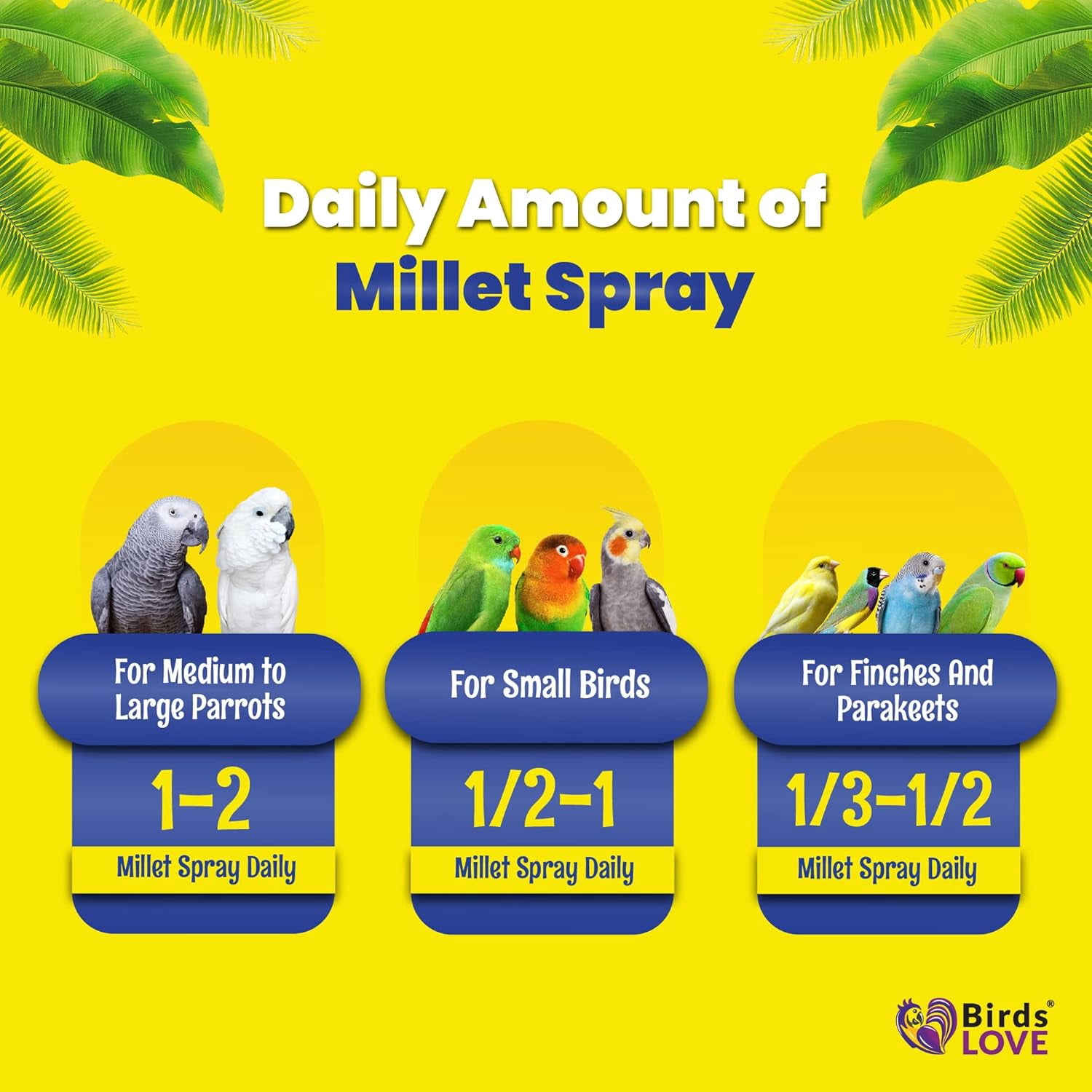 Birds LOVE Economy & Special Spray Millet for Birds, No Stems Non-GMO Sun-Dried Edible Millet Tops for Cockatiels, Lovebirds, Parakeets, Finches & Canaries, 2 lb