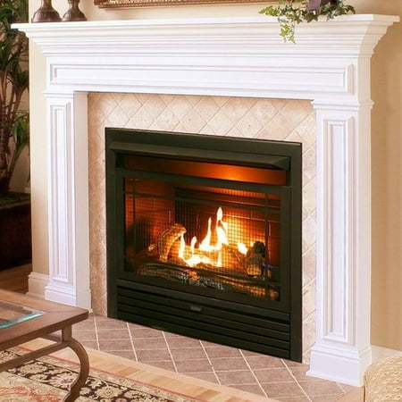 Charlton Home Hardwick Dual Fuel Fireplace Insert Com