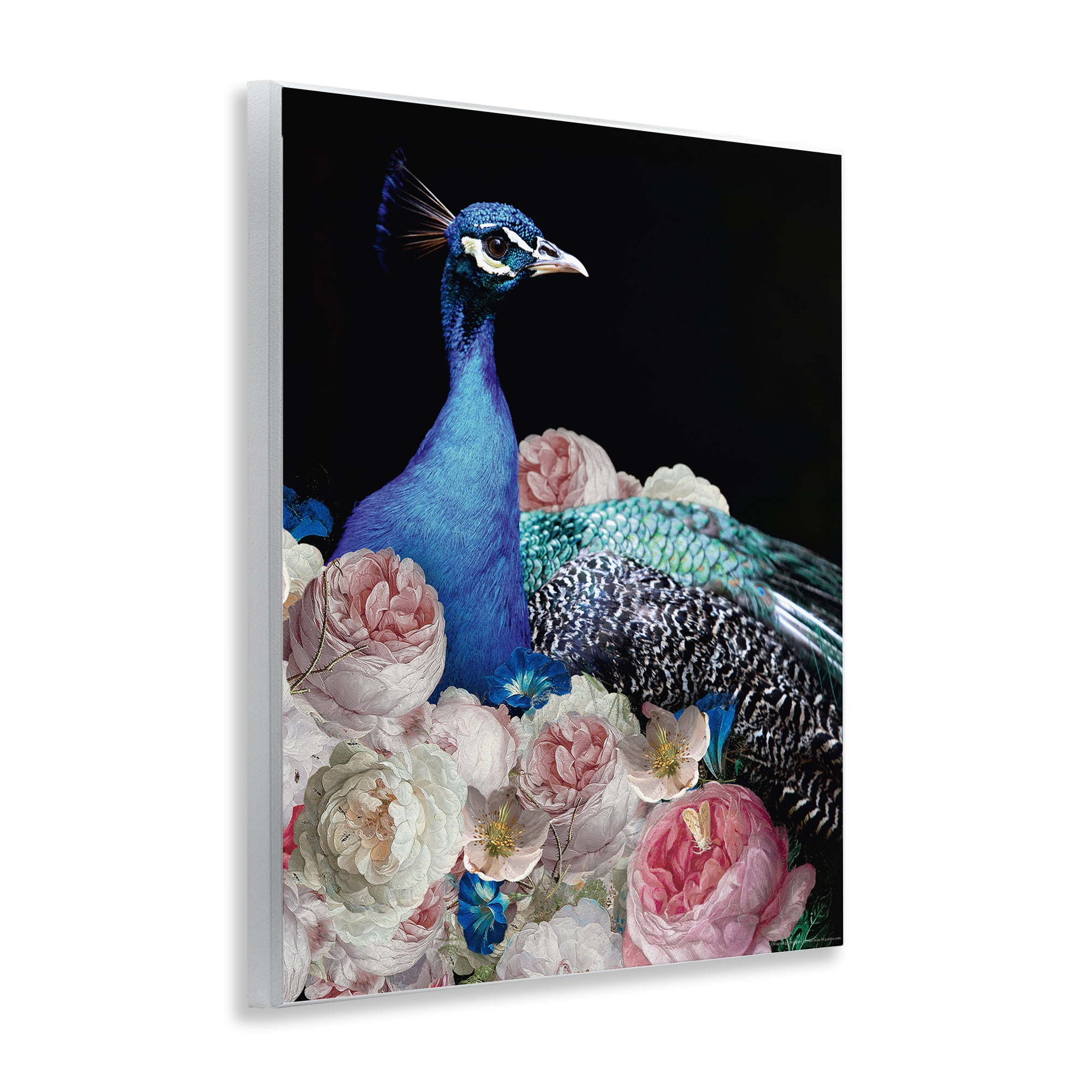Stupell Industries Peacock & Peonies Animals Painting Unframed Art Print Wall Art, 11 x 14