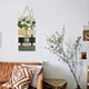 thumbnail image 5 of Jarrón Decorativo de Madera para Pared | Maceta Hidropónica de Vidrio con Cuerda Gruesa para Colgar | Decoración Rústica y Natural para El Salón | Portaflores Versátil para Flores Secas o Frescas | D, 5 of 6