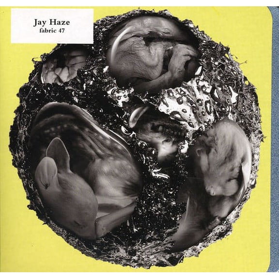 Jay Haze - Fabric 47 - Electronica - CD