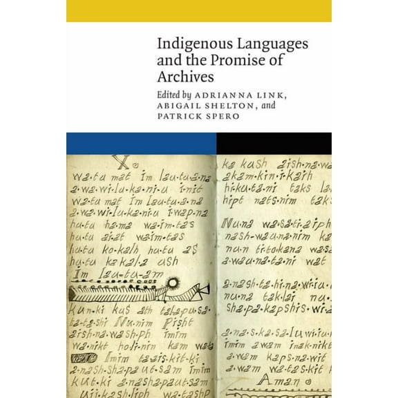 New Visions in Native American and Indig Indigenous Languages and the Promise of Archives, (Paperback)