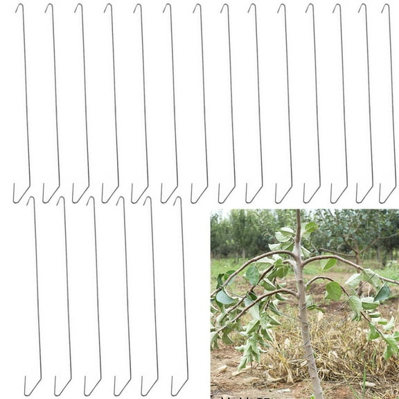 50 Pieces Branch Spreaders for Fruit Trees,Bexikou 11.8in Fruit Branch Spreader,Branch Puller for Strong Spreading Crotch Angles Branches,Branch Trunk Spreaders Modelling Tool