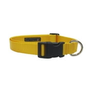 Sassy Dog Wear SOLID YELLOW MED-C Nylon Webbing Dog Collar, Yellow - Medium