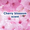 thumbnail image 3 of Softsoap Limited Edition Liquid Hand Soap, Cherry Blossom Scent, 7.5 fl oz Pump Bottle, 3 of 13