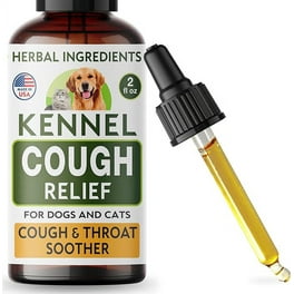 Dog cough medication online