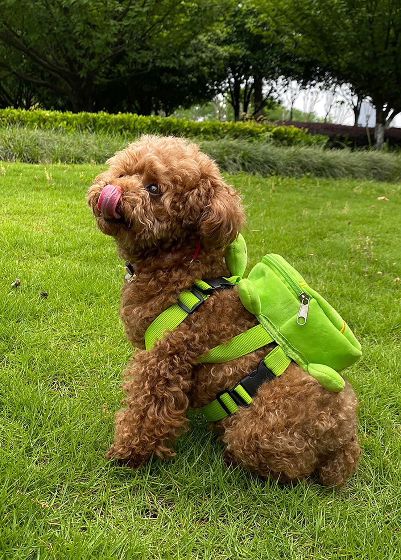 Dog Backpack Harness With Leash  Adjustable For Small Dogs Cute Turtles Shape Bag Pet Carrier Backpacks Hiking And Daily Walking