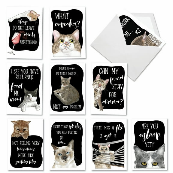 10 Funny All Occasion Blank Greeting Cards Pack - Cat Antics All Occasions - AC3638OCB-B1x10
