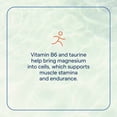 thumbnail image 6 of Trace Minerals Electrolyte Stamina - Daily Hydration Supplement for Electrolyte Balance - Energy Support - Full Spectrum Of Ionic Minerals - Vegan - Gluten-Free - 300 Count (50 Servings), 6 of 7