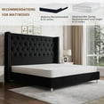 thumbnail image 6 of Merluxy Queen Bed Frame with Button Tufting Headbord,Velvet Upholstered,No Box Spring Needed,Black, 6 of 9