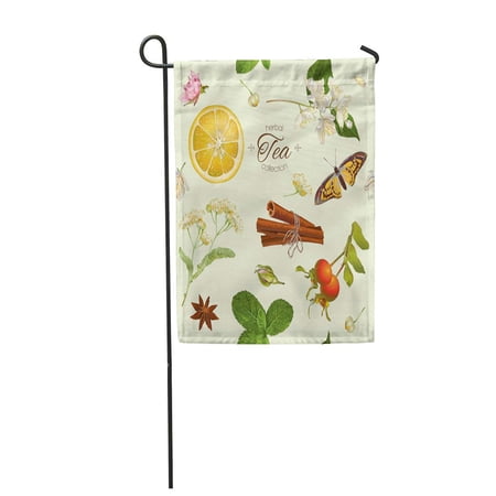 SIDONKU Vector Herbal Tea Seamless Pattern with Linden Jasmine Flowers and Garden Flag Decorative Flag House Banner 28x40 inch